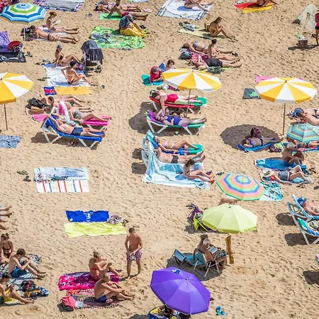 Pet Friendly In Сasa de vacaciones