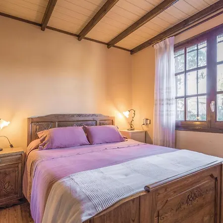 Pet Friendly In Vidreres